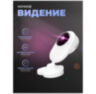 Умная камера видеонаблюдения WIFI IP 1Мп 720P TD10