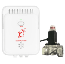 Комплект Кенарь GD30-CN + DN25 (1")