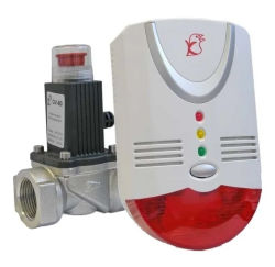 Комплект Кенарь GD100-L + газовый клапан 1/2"